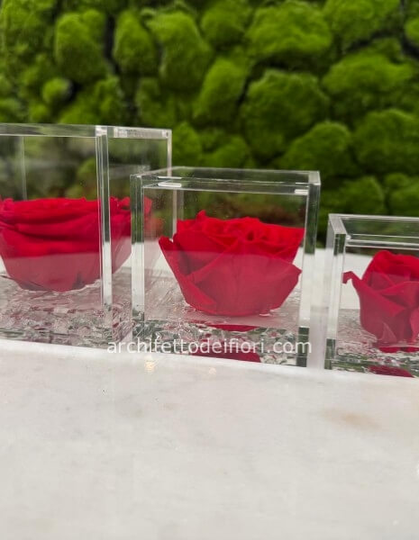 ROSA STABILIZZATA FLOWER CUBE