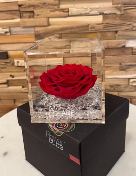 ROSA STABILIZZATA FLOWER CUBE