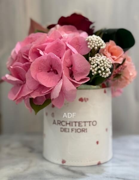 ROSA IN  BOX ADF PICCOLA