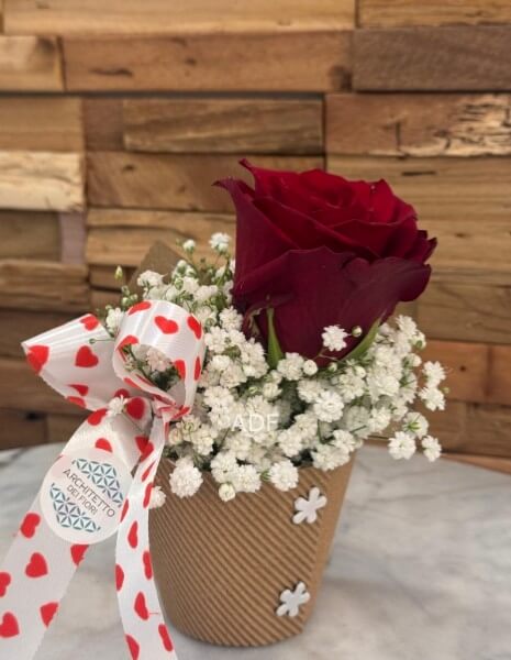 ROSA  ROSSA IN VASO  CARTA 
