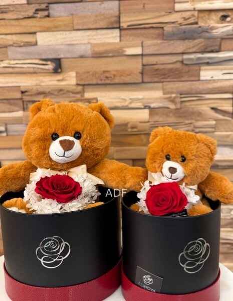 ORSETTO IN SCATOLA CON ROSA STABILIZZATA