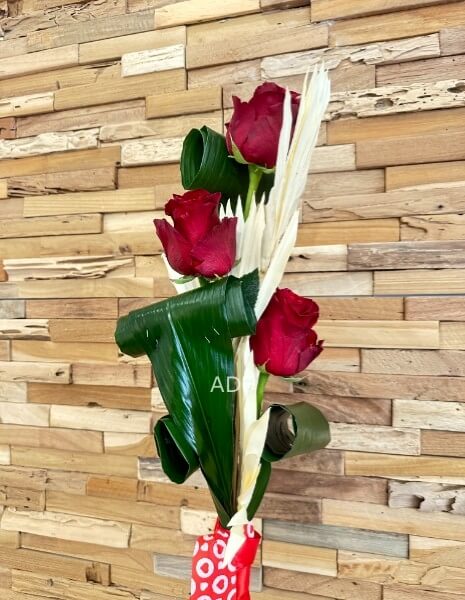 3 ROSSE ROSSE IN CONFEZIONE  ADF