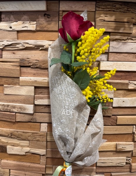 Rosa Rossa con Mimosa