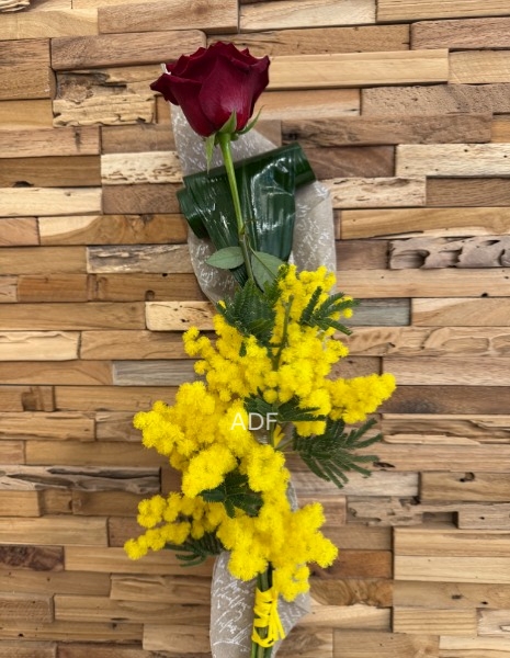 Rosa Rossa con Mimosa