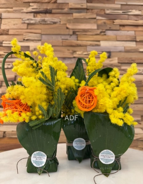 Soushi foglia con mimosa